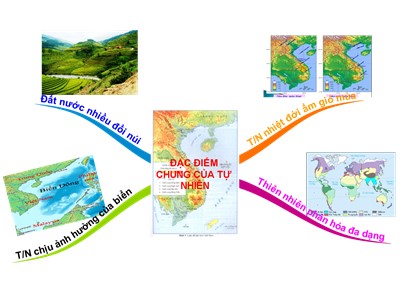 Bài giảng  Địa lí Lớp 12 - Bài 9: Thiên nhiên nhiệt đới ẩm gió mùa