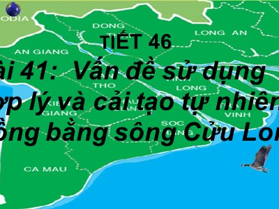Bài giảng môn Địa lí Lớp 12 - Tiết 46, Bài 41: Vấn đề sử dụng hợp lý và cải tạo tự nhiên ở Đồng bằng sông Cửu Long
