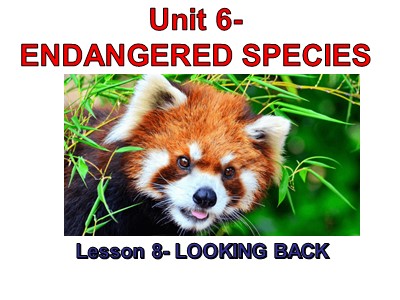 Bài giảng môn Tiếng Anh Lớp 12 - Unit 6: Endangered species - Lesson 8: Looking back and project