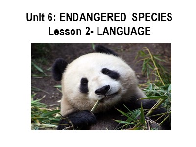 Bài giảng môn Tiếng Anh Lớp 12 - Unit 6: Endangered species - Lesson 2: Language