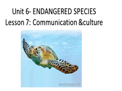 Bài giảng môn Tiếng Anh Lớp 12 - Unit 6: Endangered species - Lesson 7: Communication and culture