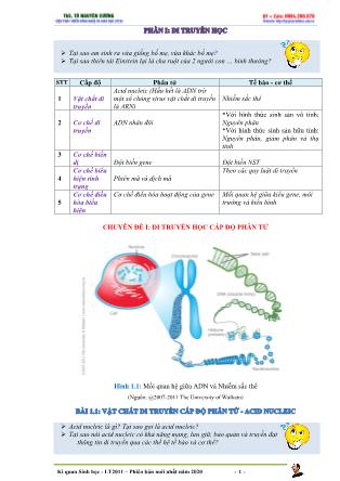 Giáo án môn Sinh học Lớp 12 - Bài 1 Gen mã di truyền và quá trình nhân đôi ADN