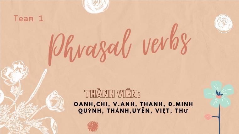 Phrasal verbs (Động từ kép)
