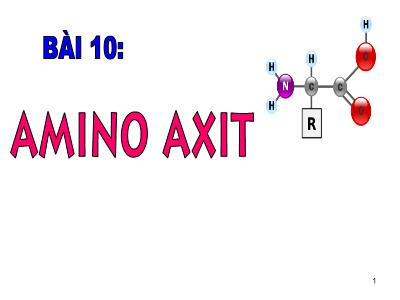Bài giảng điện tử Hóa học Lớp 12 - Bài 10: Amino axit