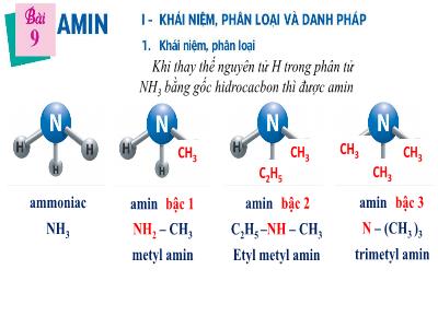 Bài giảng Hóa học 12 - Bài 9: Amin