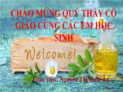 Bài giảng Ngữ Văn Lớp 12 - Tuần 16: Người lái đò sông đà (trích) - Nguyễn Thị Hoài Ân