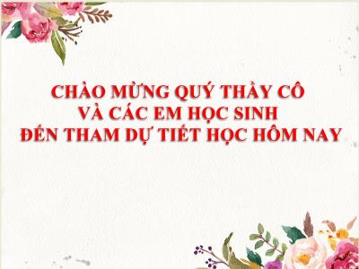 Bài giảng Ngữ Văn Lớp 12 - Tuần 33: Tổng kết phần Tiếng Việt - Lịch sử. Đặc điểm loại hình và các phong cách ngôn ngữ