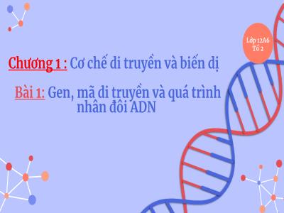 Bài giảng Sinh học Lớp 12 - Chương 1, Bài 1: Gen, mã di truyền và quá trình nhân đôi ADN