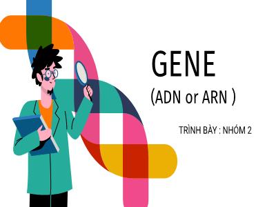 Bài thuyết trình Sinh học Lớp 12 - Bài 1: Gen, mã di truyền và quá trình nhân đôi ADN
